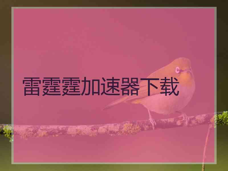 雷霆霆加速器下载